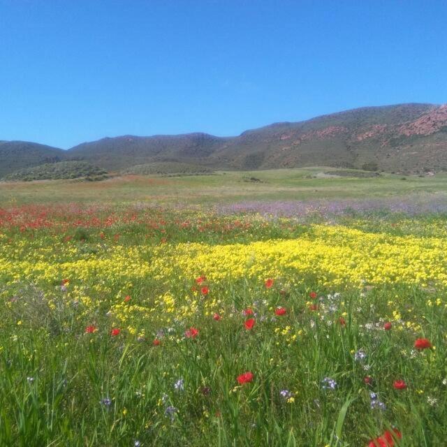 La Belleza De Rodalquilar Εξωτερικό φωτογραφία